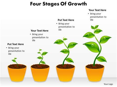 Four Stages Of Growth Shown By Plants Growing In Pots Powerpoint