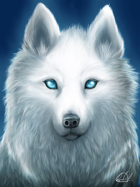 Animewolf1212, anime34 and 2 others like this. White spirit wolf by Kyo-chan12 on DeviantArt