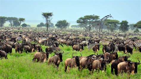 Top Tourist Attractions In Africa Southern Destinations