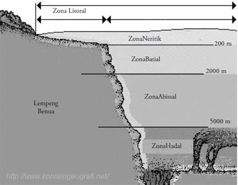 Zona Kedalaman Laut Dengan Batasan Masing Masing Konsep Geografi