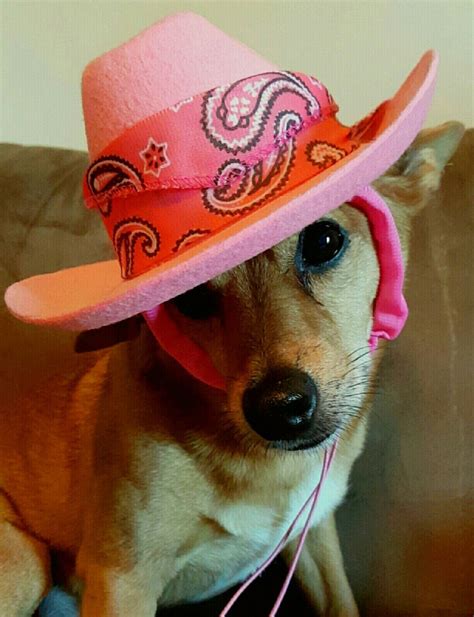Pin By Loretta Cook On How Cute I Am Cowboy Hats Cowboy Cute
