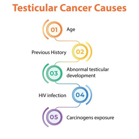 Testicular Cancer Symptoms Causes Diagnosed Treatments