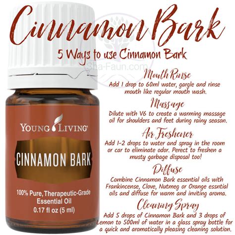 Cinnamon Bark Essential Oil Official Site Shafauncom