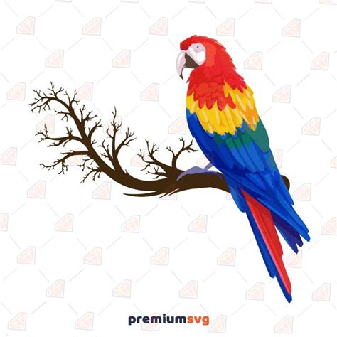 Paper Craft Supplies And Tools Two Parrots Svg Parrots In Love Svg Parrot