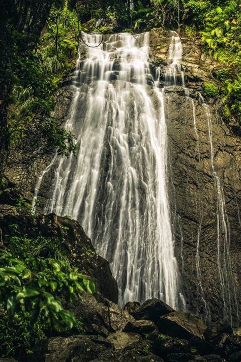 El Yunque National Rain Forest In Puerto Rico Taken In 2016 El