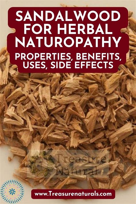 sandalwood for herbal naturopathy properties benefits uses side effects treasurenatural