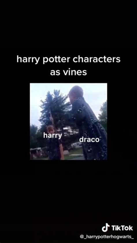 Harry Potter Characters As Vines Tik Tok Harry Potter Funny Harry