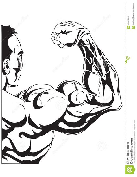 Biceps Stock Vector Image 40945541