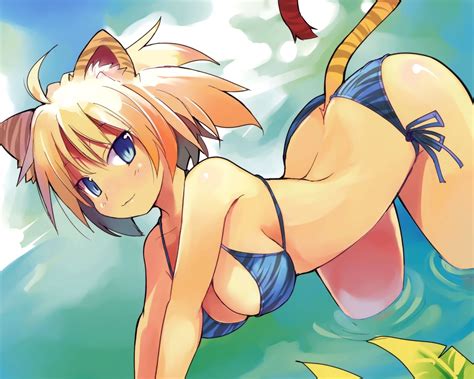 Wallpaper Illustration Anime Girls Cat Girl Animal