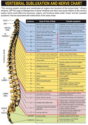 Though primary function of the spinal cord is to conduct motor and sensory information, it does have an independent role of coordinating certain reflexes and traumatic injuries and severe ailments in the region disrupt the overall functioning of the central and peripheral nervous systems, usually resulting. Spinal Cord and Spinal Nerves - FK Wiki