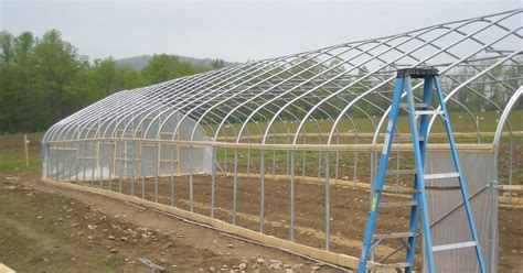 Greenhouse Farming In Kenya For Beginners How To Make It Lucrative