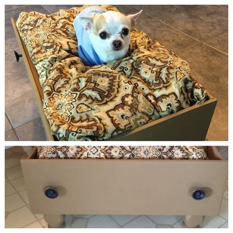 Newman Showing Off His Pet Bed Old Furniture Repurposed Furniture