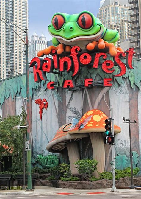Experience the excitement of chicago from the centre of all the action at this beautiful historic hostel, offering comfortable and contemporary. Rainforest Cafe Chicago by Dave Mills in 2020 | Rainforest ...