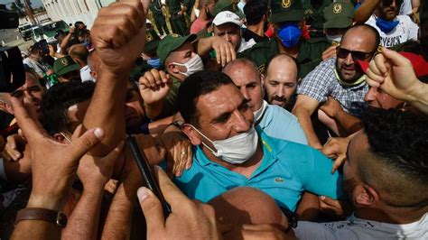 algerie quatre figures de la contestation libérées