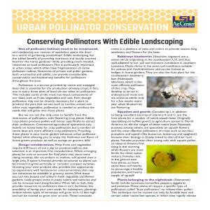 Maybe you would like to learn more about one of these? Landscaping