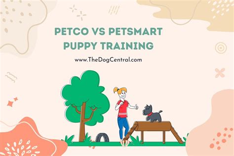 Petco Vs. PetSmart Puppy Training | The Dog Central