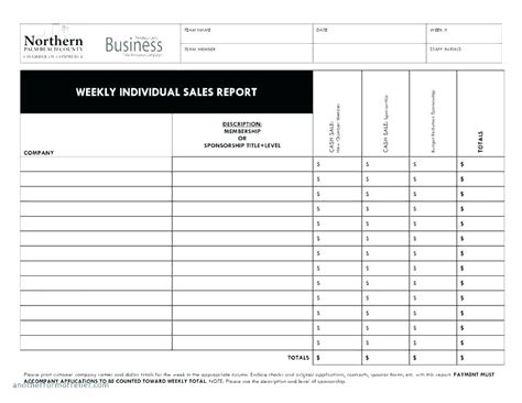 Project Daily Status Report Template 2 Professional Templates