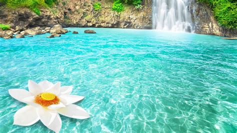 1600x900 Waterfall Flowers 1600x900 Resolution Hd 4k Wallpapers Images