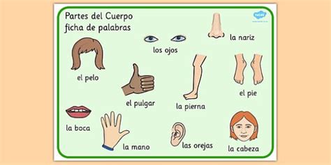 Spanish Parts Of The Body Word Mat Teacher Made Twinkl