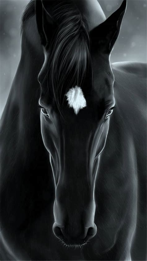 Black Horse Wallpapers 4k Hd Black Horse Backgrounds On Wallpaperbat