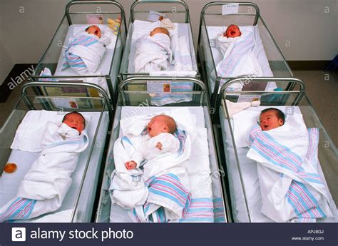 Newborn Babies In Hospital Nursery Danbury Connecticut Usa Stock Photo