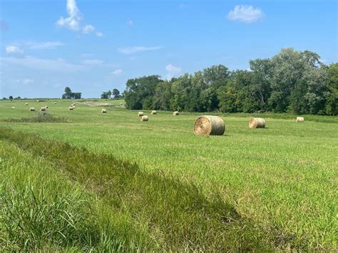 Hay Fields And Pasture Start To Green Up In Mo Brownfield Ag News