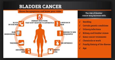 Understanding Bladder Cancer Causes Symptoms And Treatment