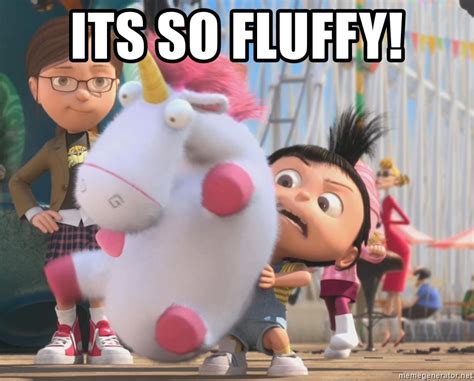 Its So Fluffy Its So Fluffy Meme Generator