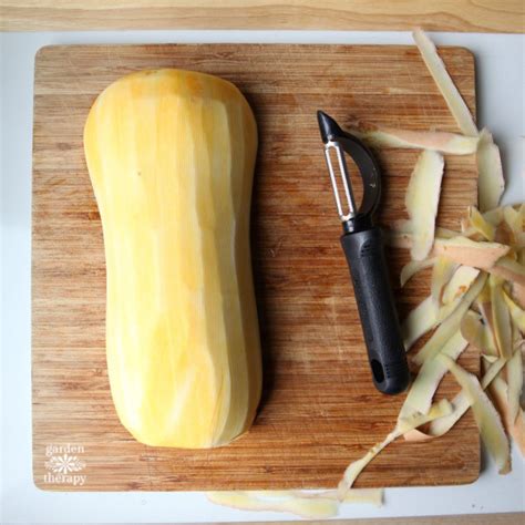 How To Prepare Butternut Squash For Recipes Garden Therapy