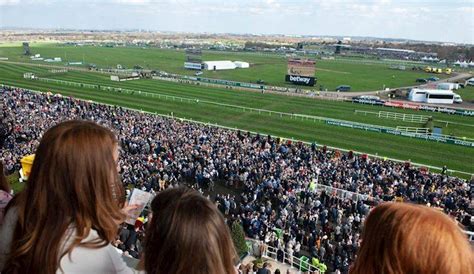 Grandstand And Paddock Enclosure Countryside Day Aintree Racecourse
