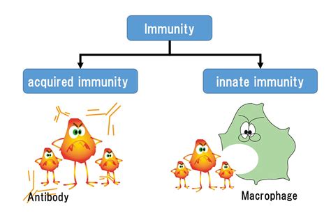Immunity Map Examples