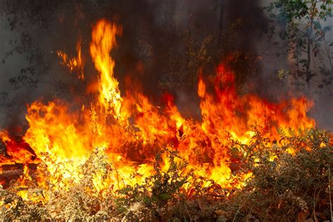 Accuweather Storms May Have Delayed Californias Wildfire Season
