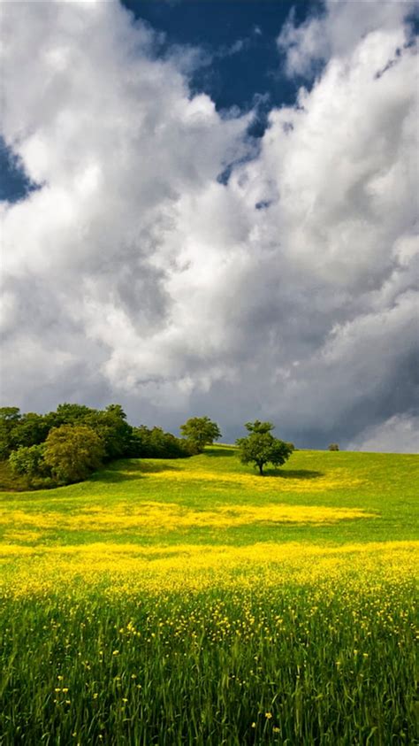 Beautiful Green Grass Field Under Blue And White Cloudy Sky During