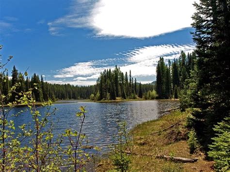 Champion Lakes Provincial Park Genelle Bc