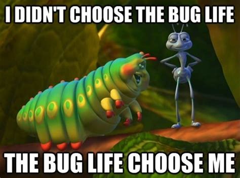 The Bug Life A Bugs Life Pixar Films Pixar