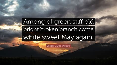 Sourced quotations by the american poet william carlos williams (1883 — 1963) about love, wind and man. William Carlos Williams Quote: "Among of green stiff old bright broken branch come white sweet ...