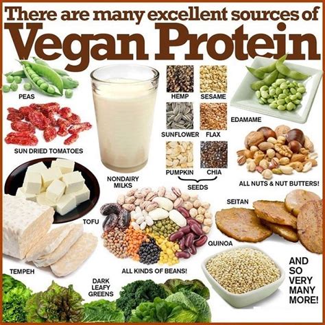 The Most Satisfying Vegetarian Foods High In Protein Easy Recipes To