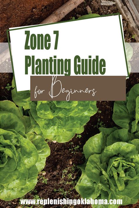 Zone 7 Planting Schedule For Beginners Replenishing Oklahoma