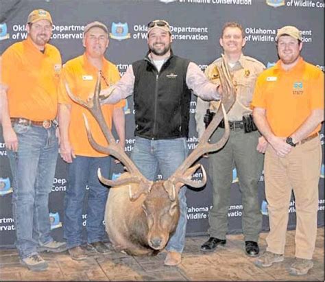 New Cy Curtis State Record Elk Scored At March Rack Madness