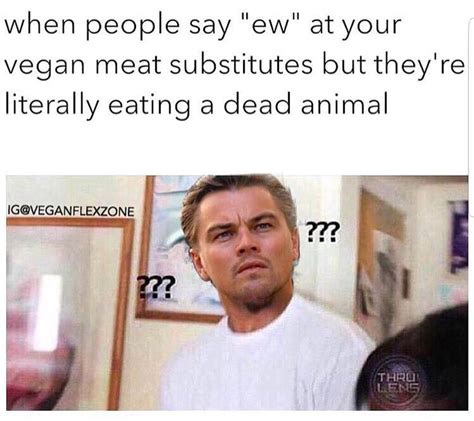 Funny Vegan Memes On Tumblr Follow Us Funnyveganmemes For The Funniest Vegan Memes On The
