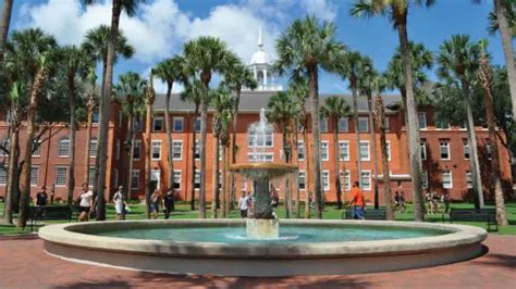 Best Colleges In Florida For Criminal Psychology Infolearners