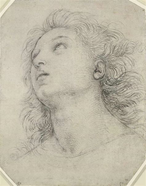 Raffaello Sanzio Da Urbino Life Drawing Academy