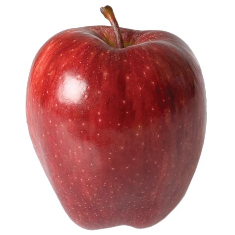 Jenis Jenis Epal Yang Perlu Anda Tahu Hasif Hamidun
