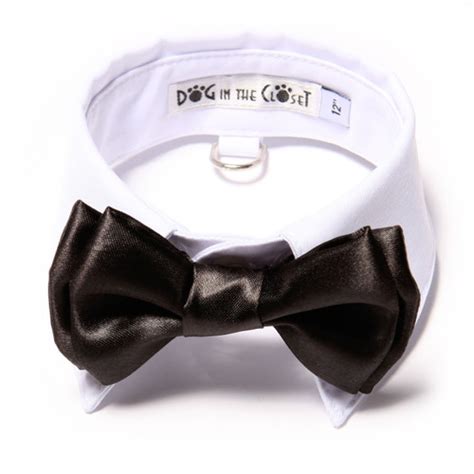 White Shirt Dog Collar With Black Bow Tie