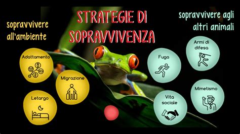 Strategia Di Sopravvivenza Livello 3 By Nadia Tacinelli