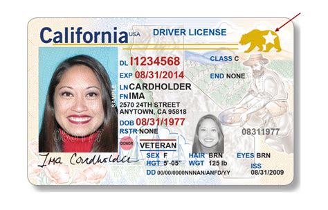 Check spelling or type a new query. DMV to Offer REAL ID Driver License and ID Cards January 22 - High Desert Daily