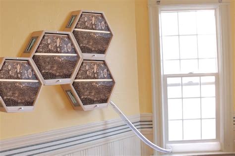 Beecosystem Modular Beehives Bring Beekeeping Indoors Outdoor Walls