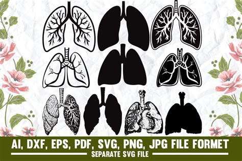 Human Lungs Svg By Asma Tanha On Dribbble