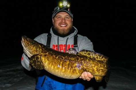 Ice Fishing For Burbot Best Spots Gear And Techniques Target Walleye