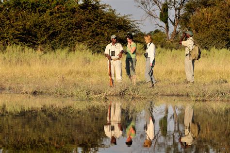 Guided Walking Safaris In Botswana Everything To Know
